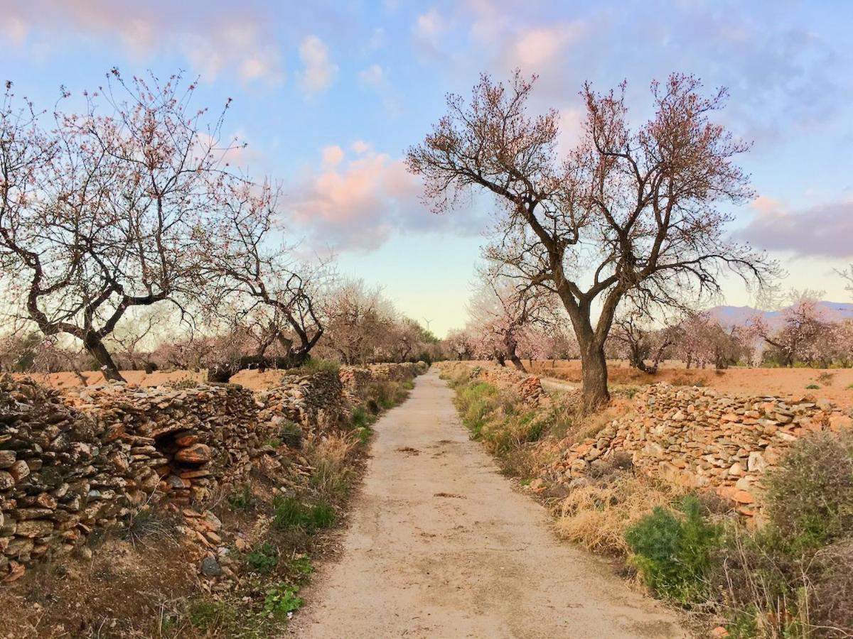 The Other Place Lecrin Εξωτερικό φωτογραφία